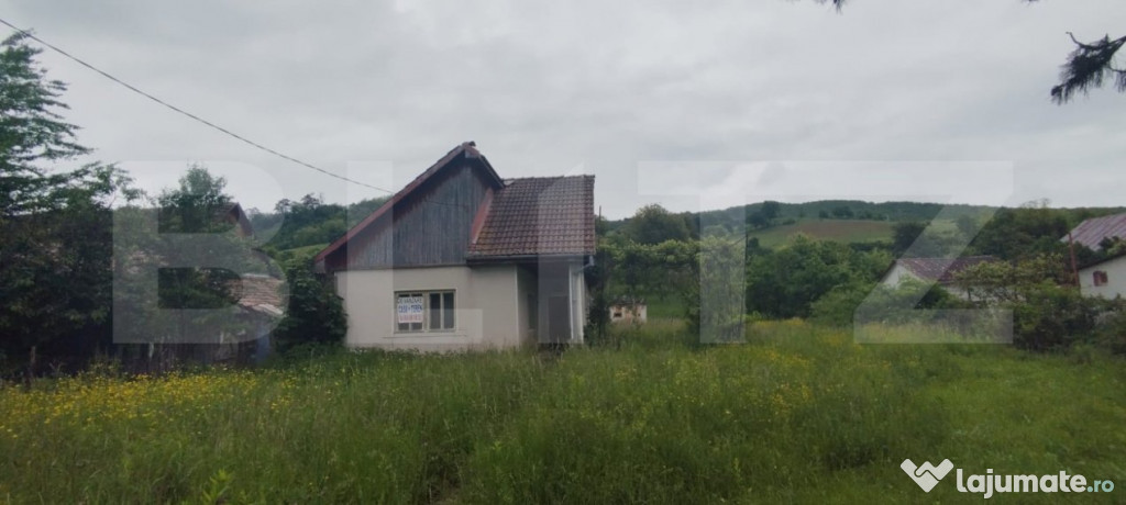 Casa de vanzare in mediul rural, cu teren generos