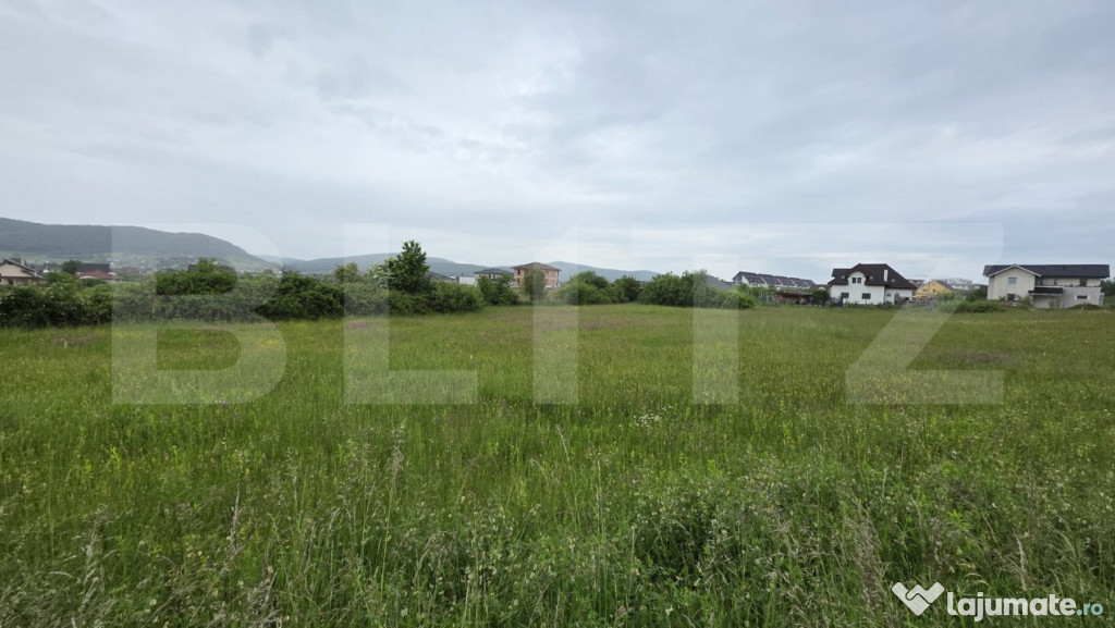 Teren 48,3 ari intravilan, Valea Rusului, drum asfaltat