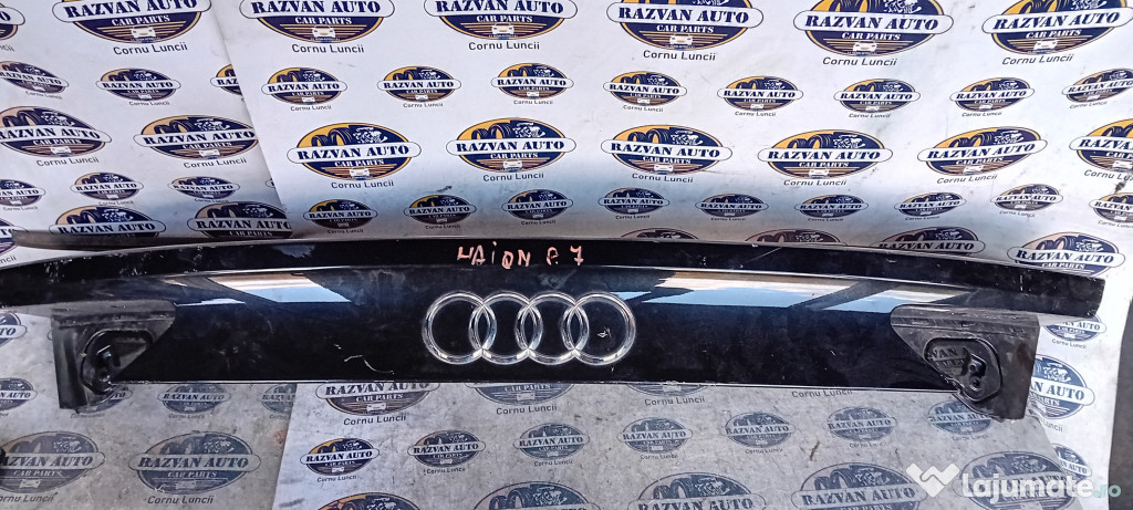Ornament haion Audi A7