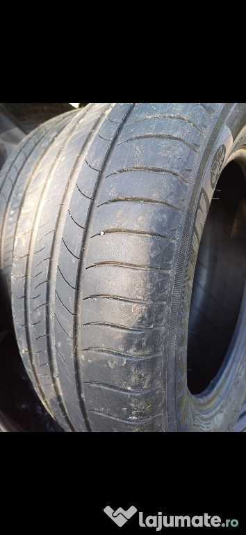 Anvelope de vara Michelin