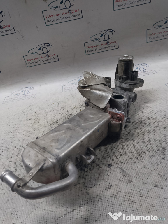 Racitor Gaze cu EGR Volkswagen Tiguan 2011