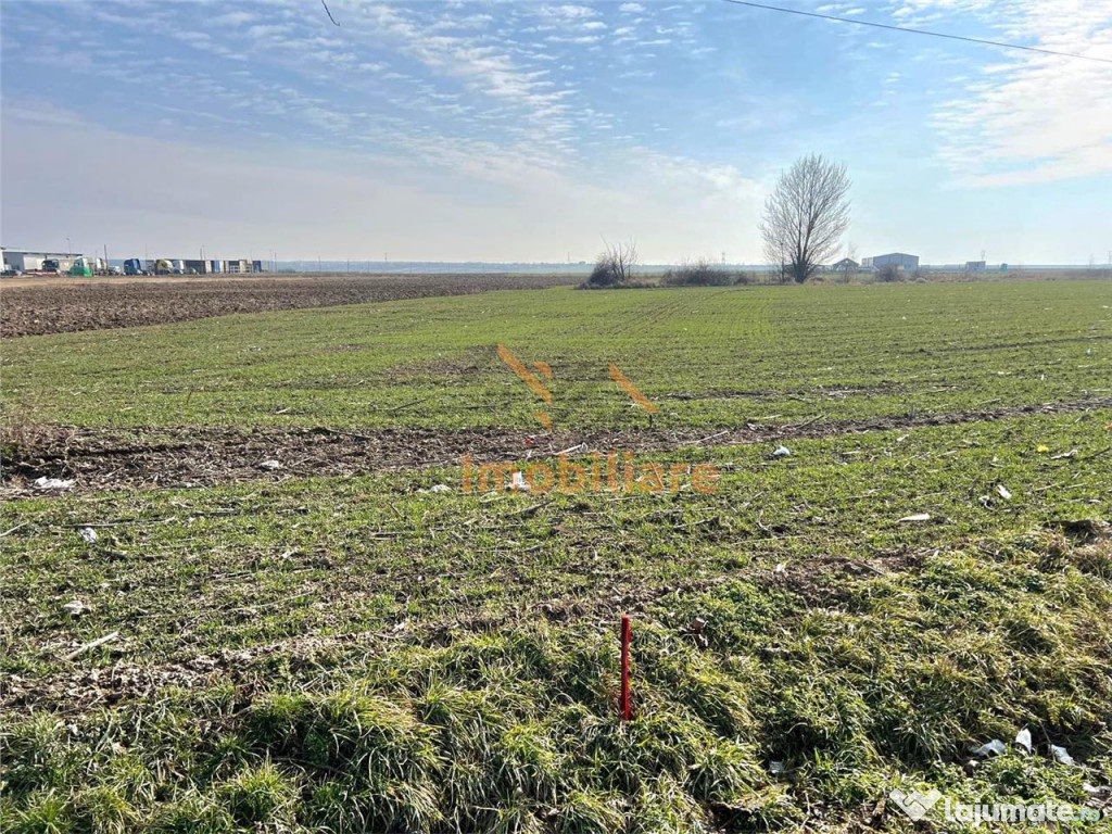 TEREN INTRAVILAN | NOJORID | 5985 mp