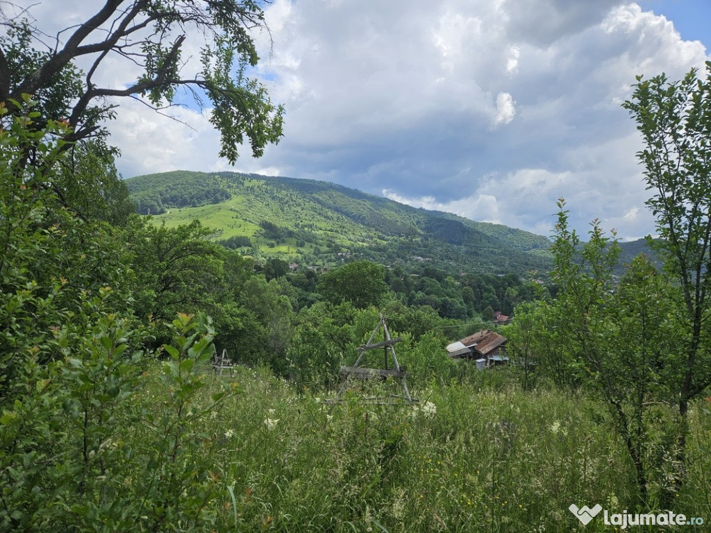 Teren de in Valea Doftanei