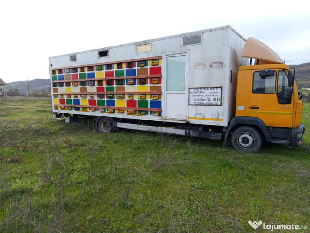 Camion apicol 12 T