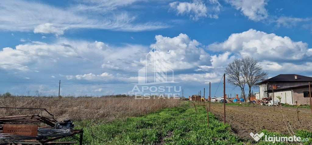 Teren intravilan , curent , apa , nr de casa Sacosu Turcesc