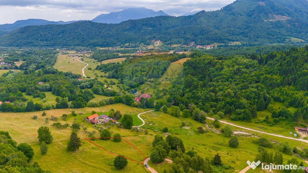 Teren Parcul National Bucegi/Str Glajarie Rau Mare/Panice...