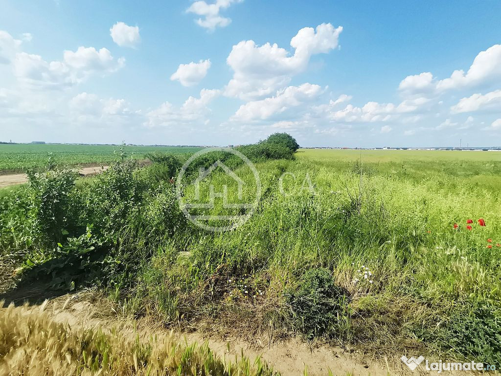 Teren intravilan de vânzare in Santandrei, Bihor
