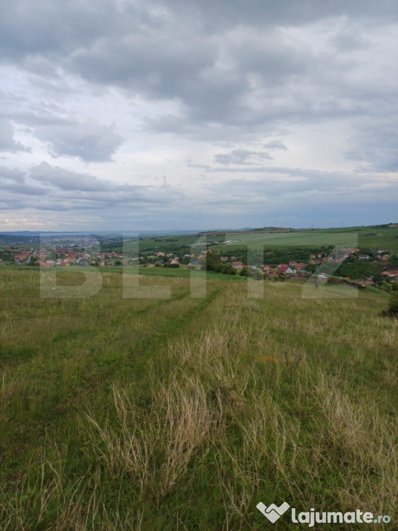 Teren extravilan 1249 mp in Copaceni! Oportunitate investiti