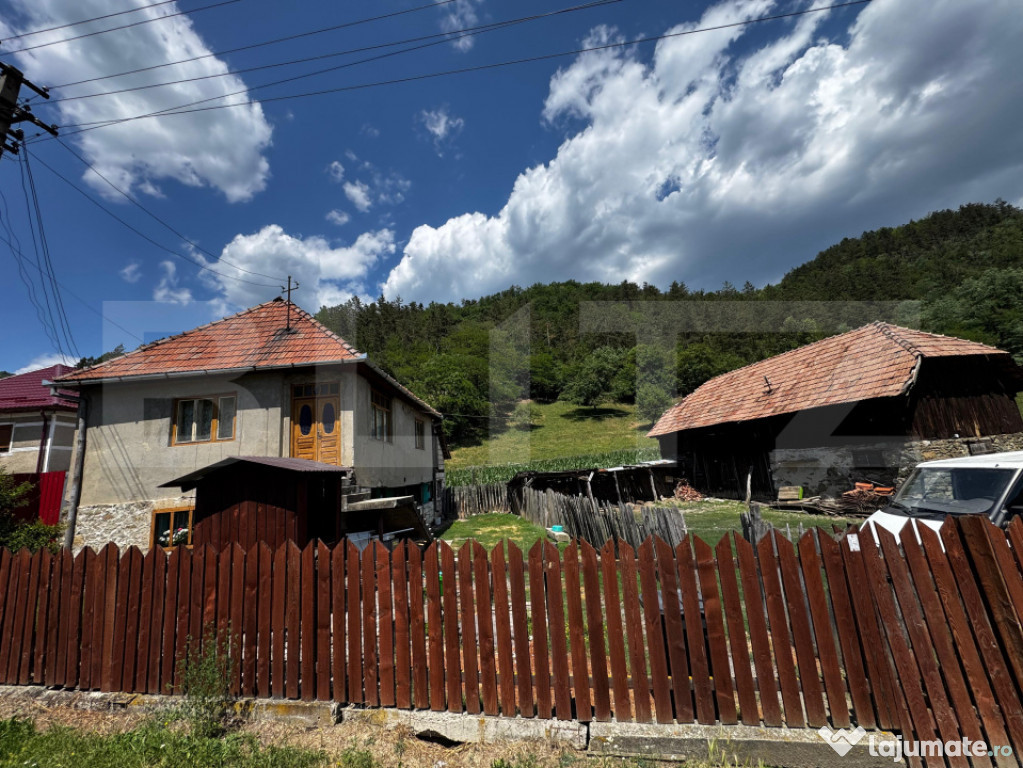 Casă demolabilă/renovabilă cu 6000 mp teren, Poiana Ampoi