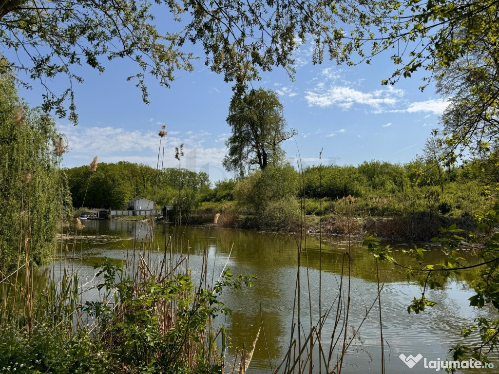 Teren Intravilan 15.840 mp Silistea Snagovului De Vanzare