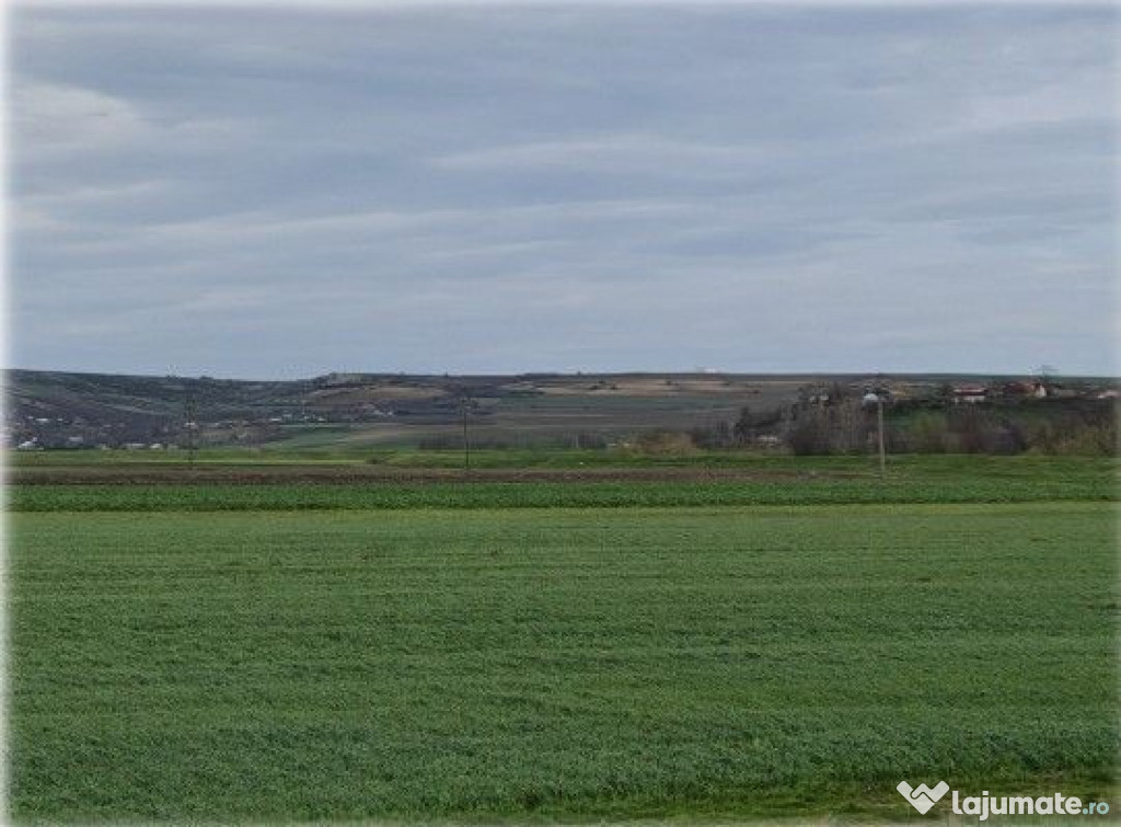 Teren Andrieseni, cota parte 1/20, ID: R2603082