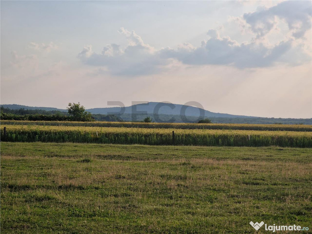 RECO teren intravilan in Felcheriu