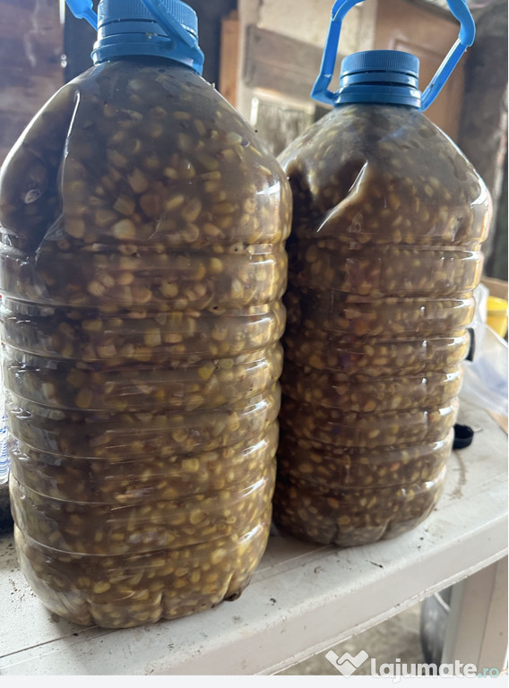 Porumb Fermentat pentru pescuit