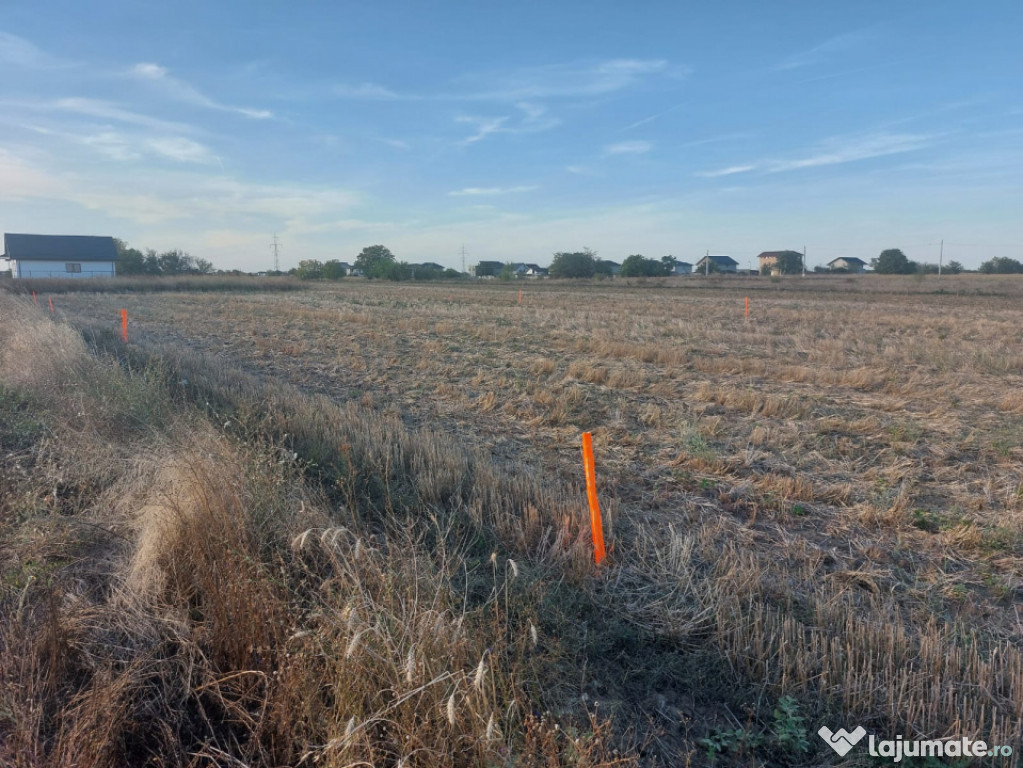 Teren Berceni -Mamina | 51 Euro/mp | Curent | Oportunitate