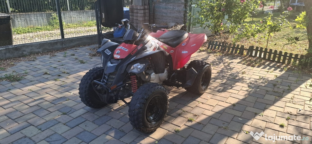 ATV Can-Am DS250