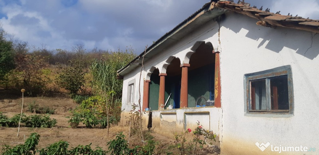 Casă Vânători, comuna Lisa, Teleorman