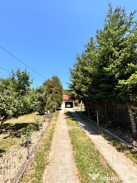 Casă de vânzare Viforata