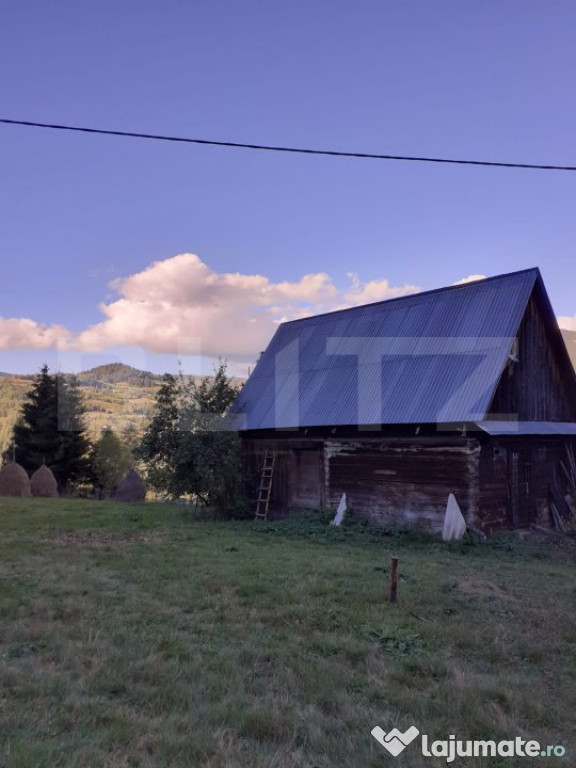 Casă la munte, cu teren 13383 mp, zona Horea - Apuseni