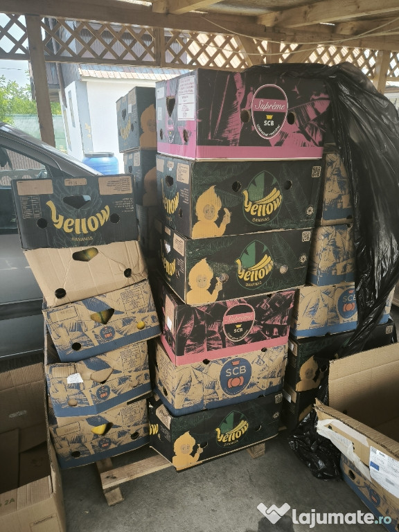 Pepeni de vanzare