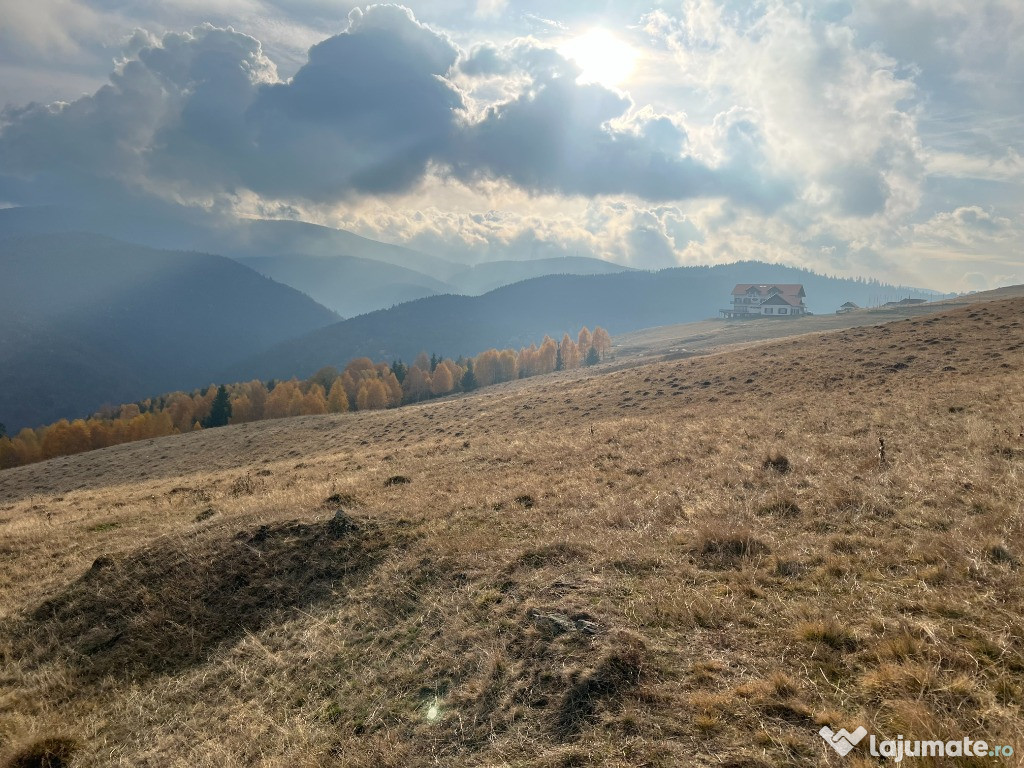 Teren de vânzare –ideal pentru cabană – Zona Vălari, Păltiniș(6131 m)