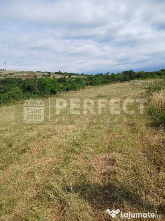 Teren 5590 mp INTRAVILAN Baicoi pret 17 euro/mp