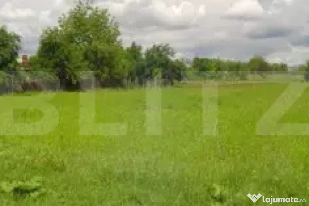 Teren extravilan la pttincipala Calea Lugojului 5000 mp