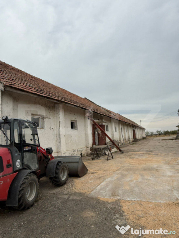 Ferma de Vanzare in judetul Timis, la nord est de Timisoara,