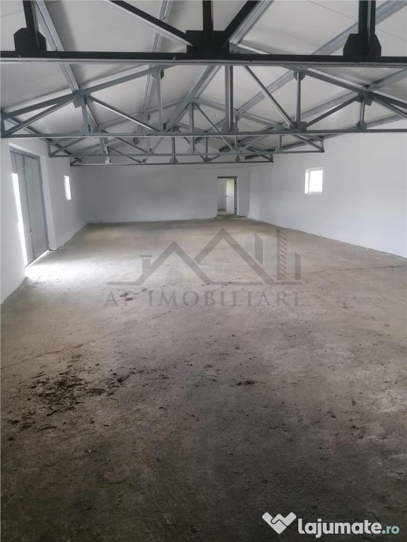 Hala 550mp zona Lunca Cetatuii - Dumbrava
