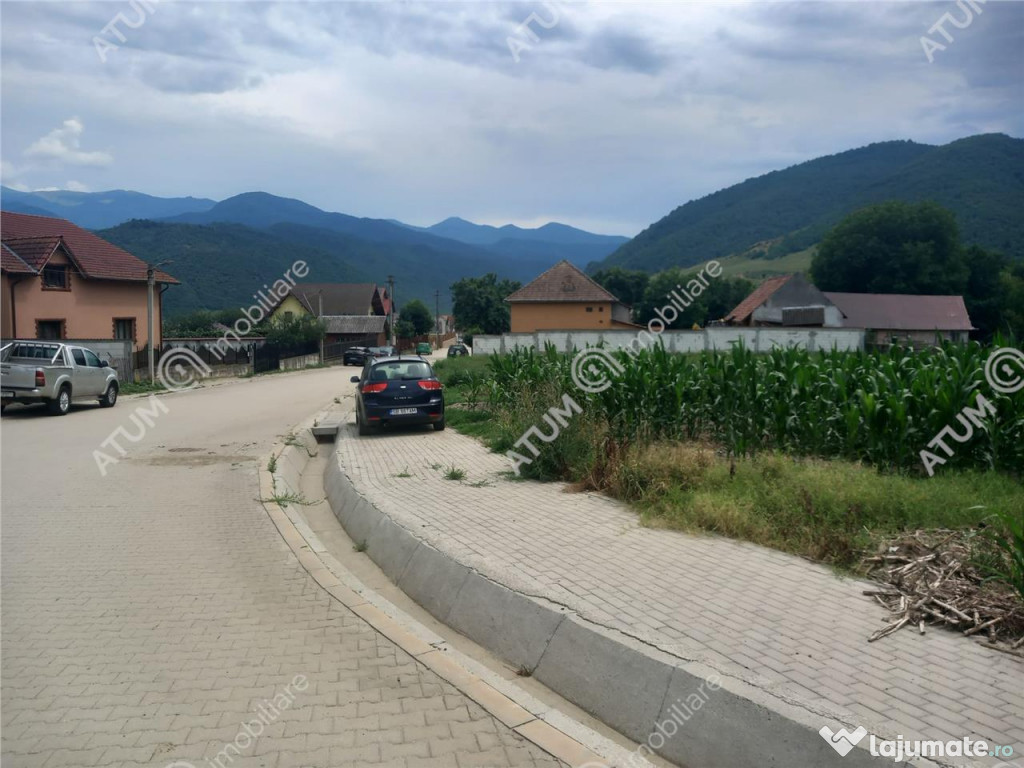 De 733 mp in Boita Sibiu
