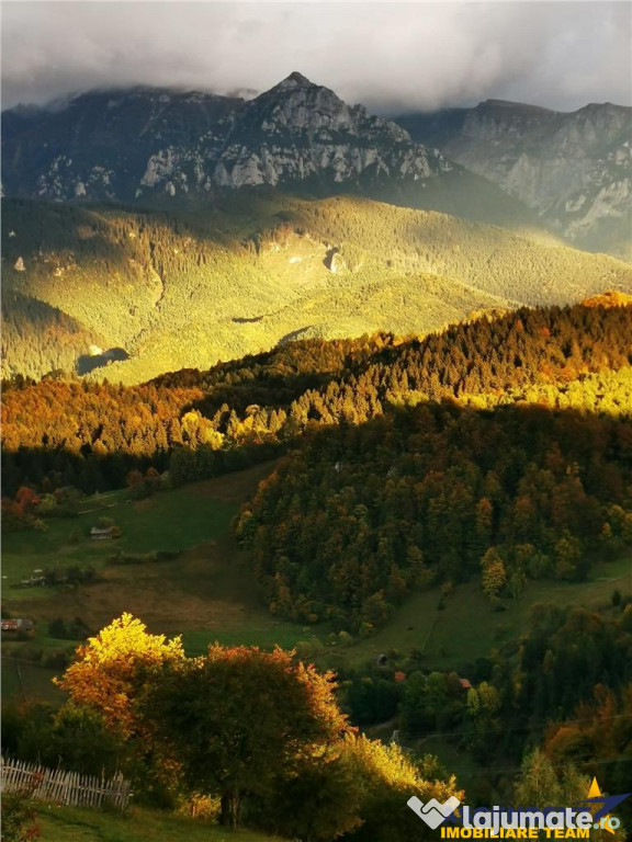 7.000 mp, pozitie spectaculoasa, fara vecini, Fundatica, Bra