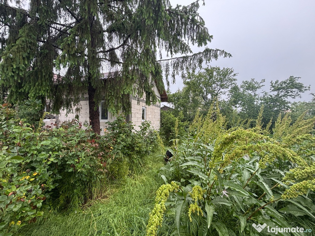 De vanzare casa 3 camere la rosu