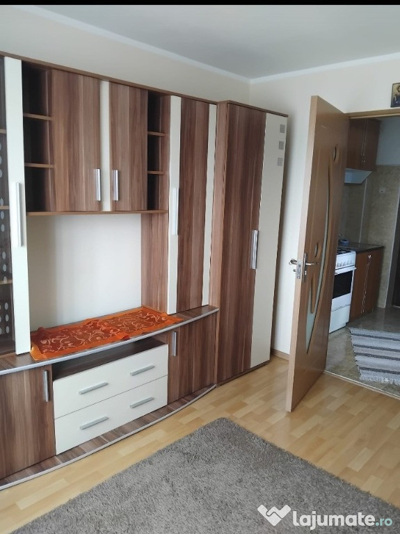 Garsoniera - etaj 1 - Zona Burdujeni