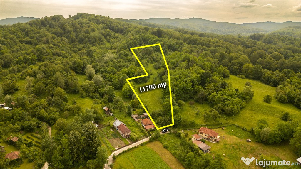 Teren 11700 mp în Valea Lungă, o oază de liniște, aer curat, verdeață