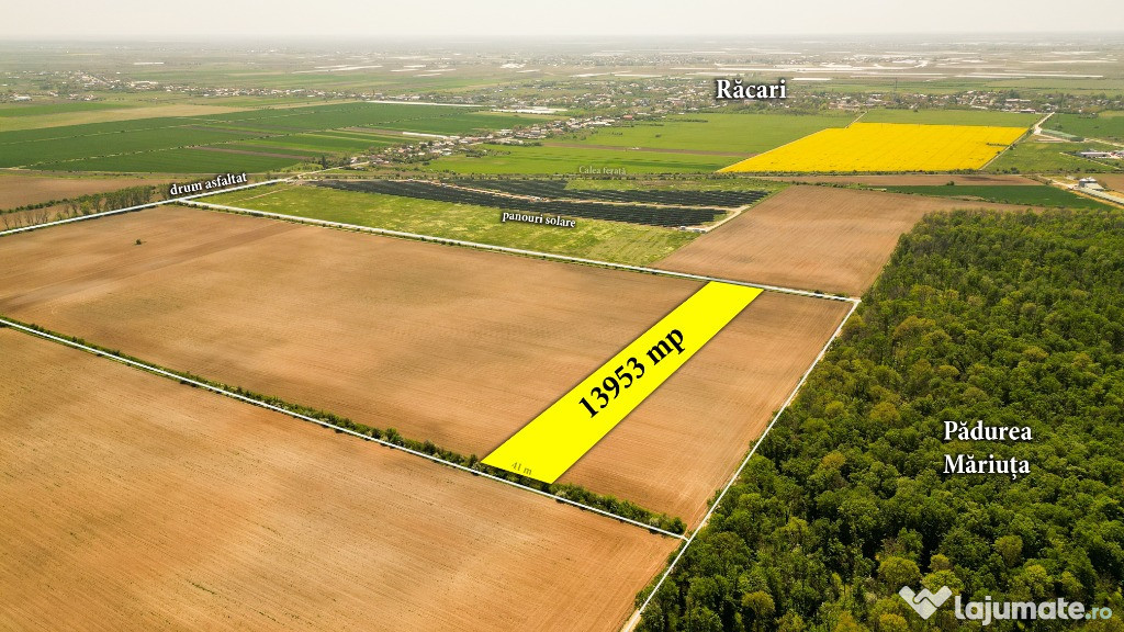 Teren 13953 mp Răcari lângă Pădurea Măriuța - oportunitate investiție