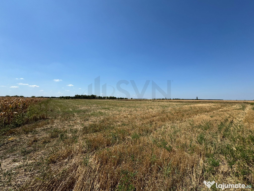 Teren de in Otopeni l 26000MP