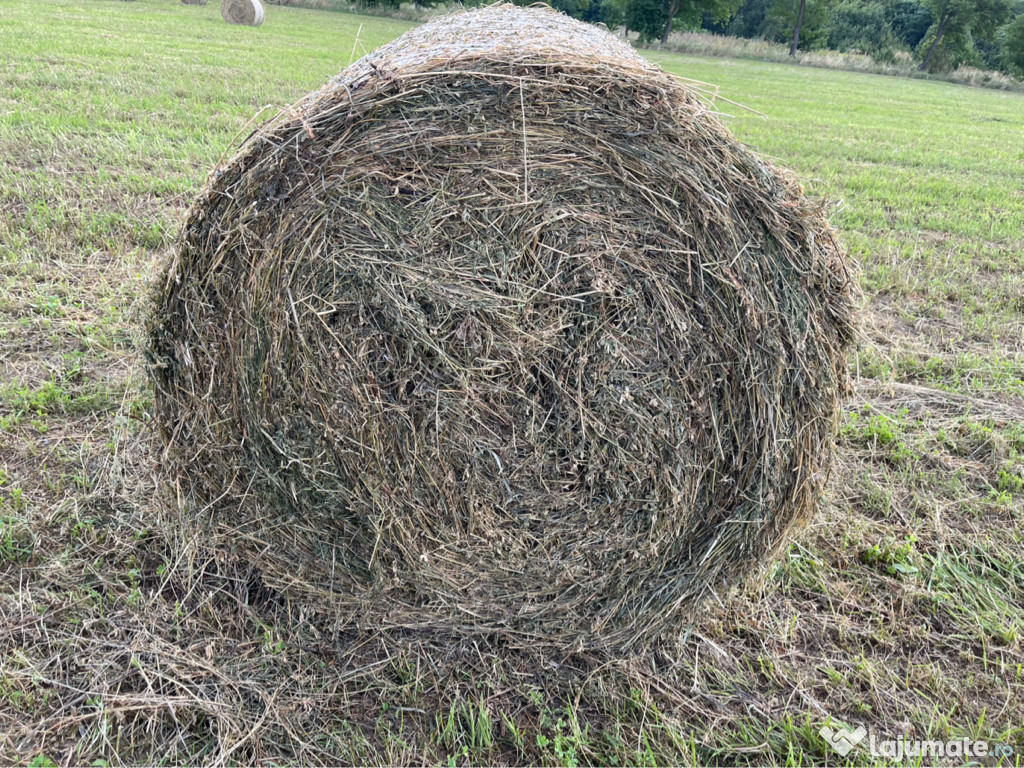 Baloți de calitate din lucerna în agricultură ecologică