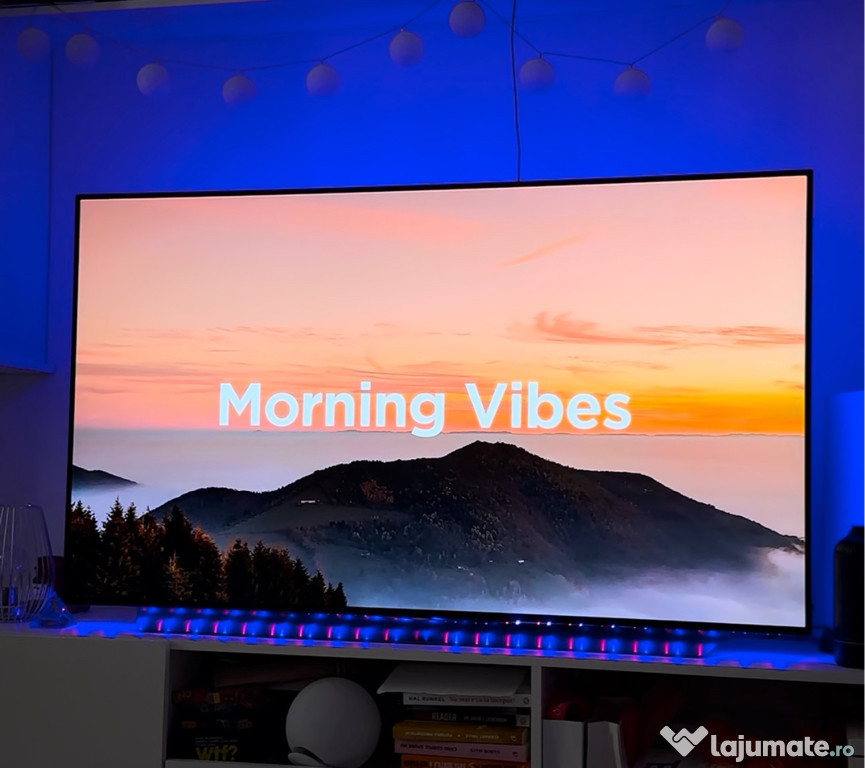 Televizor LG OLED 4K UHD 165cm clasa A+