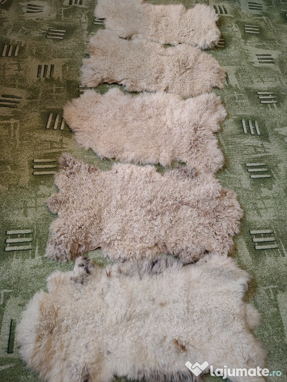 Piei / blănuri de oaie (5 bucăți)