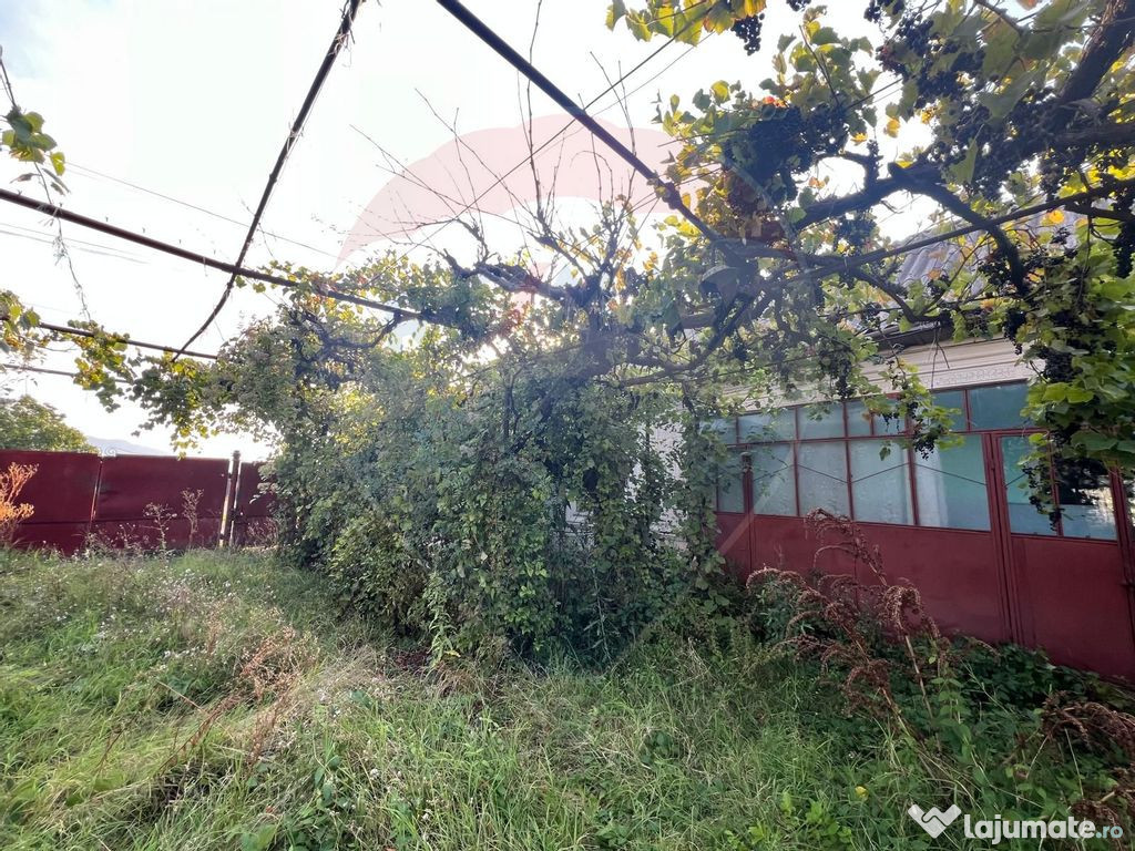 Casă si teren 1448mp Muncelul
