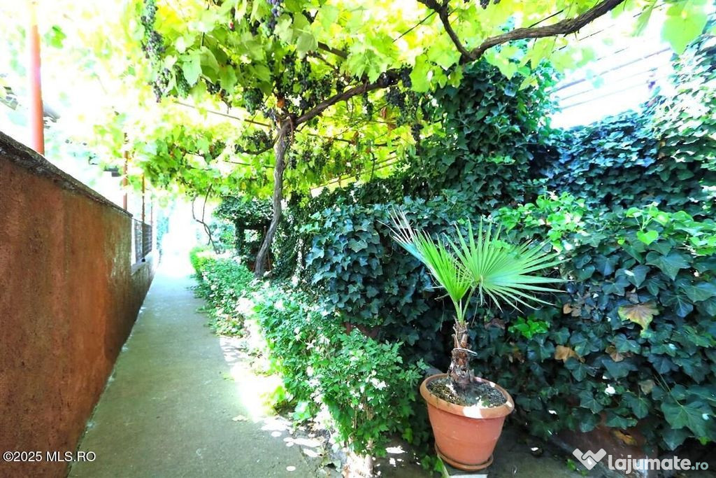 Palazu Mare - Strada Gheorghe Baritiu 16, casa cu teren d...
