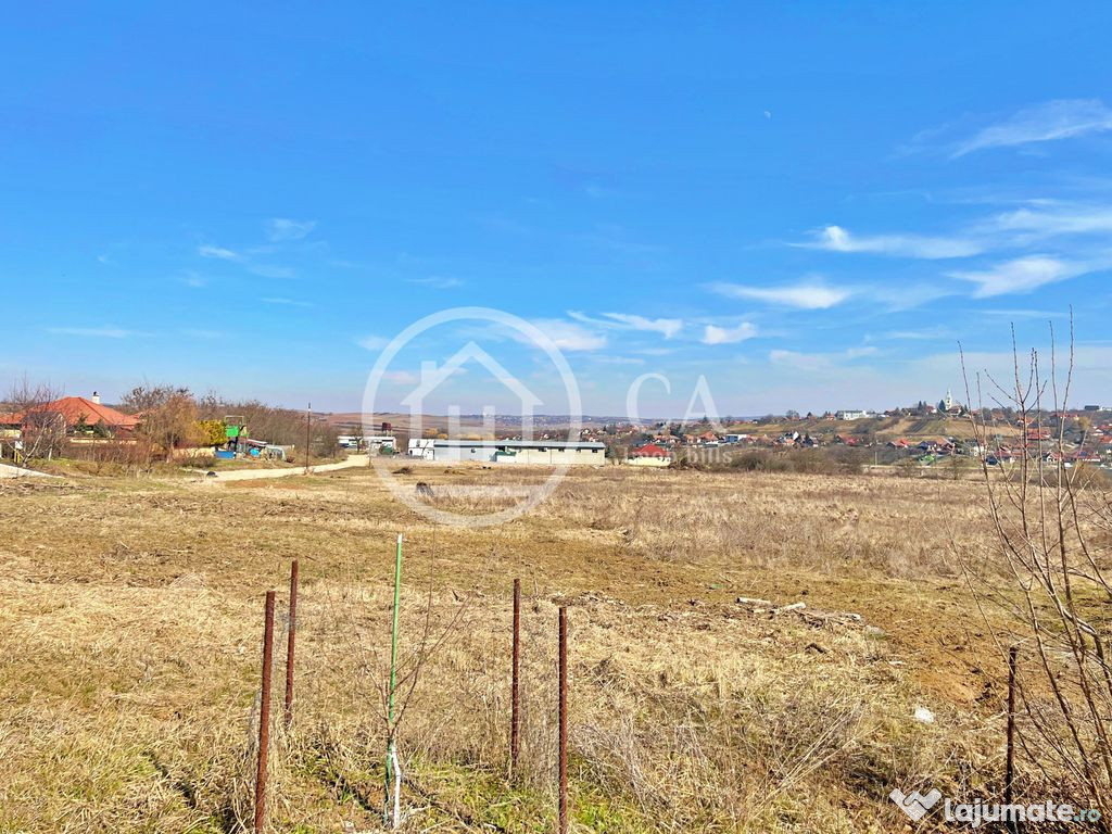 Teren 130.000 mp de vanzare in Paleu, Oradea