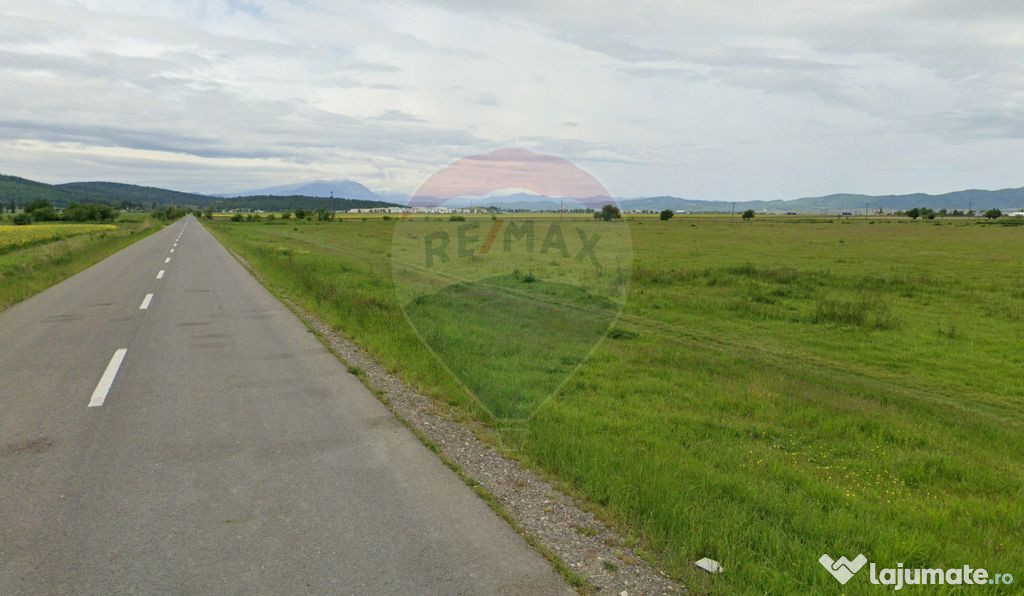 Teren intravilan 2000 mp – Strada Cucului, Brașov