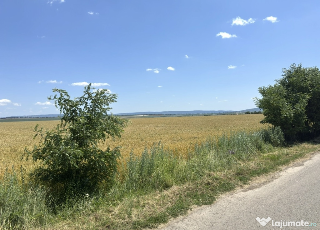 Vand teren intravilan-extravilan Horlesti 9070mp