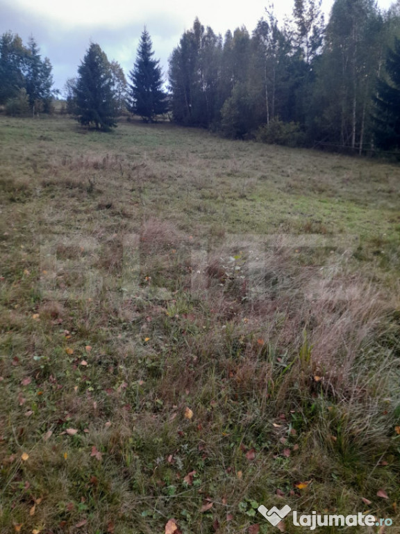 Vânzare teren, Vatra Dornei, 2280 mp