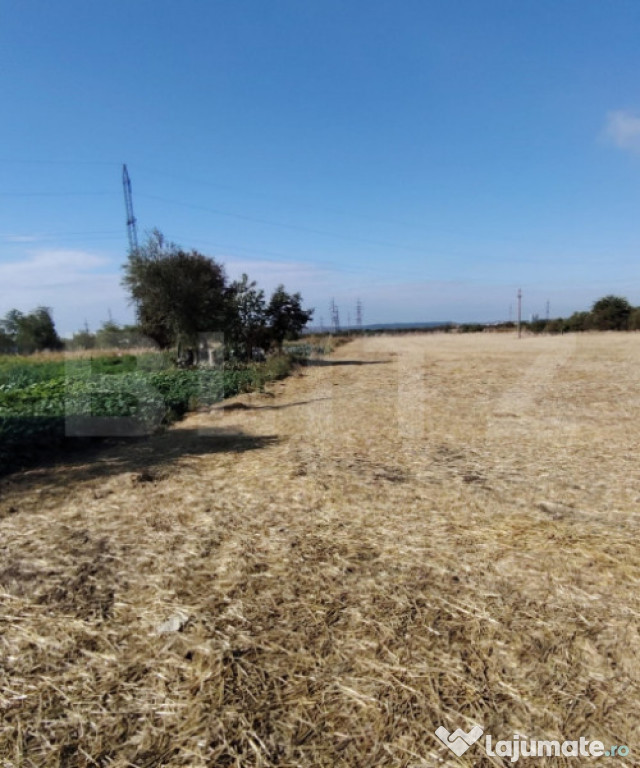 Teren Isalnita intravilan, 2500 mp, toate utilitatile