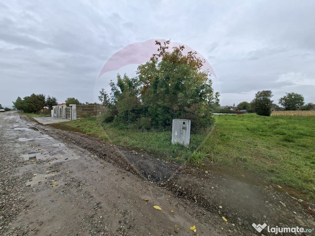 Teren 504mp Prejmer / Strada Gara Mica