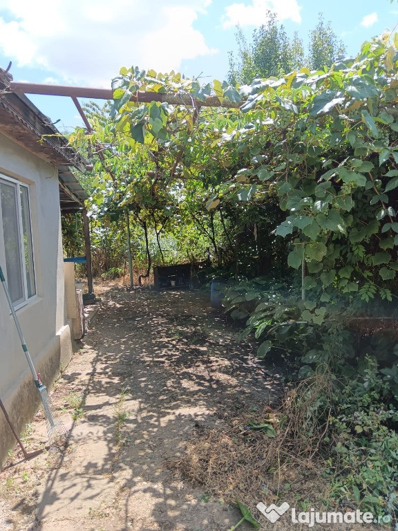Casa Lacu Sarat/Braila