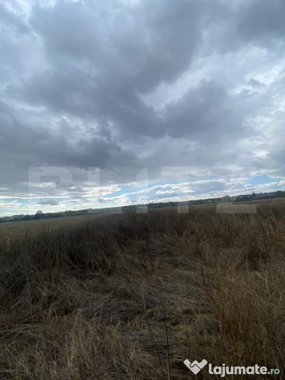 TEREN | 2500 MP | LUCIENI | EXTRAVILAN |