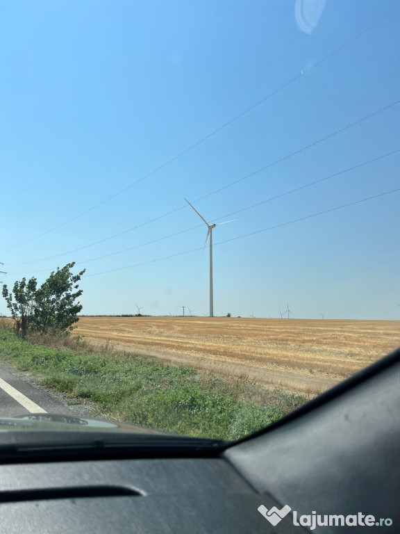 De vînzare trei pietreni de 40 kg