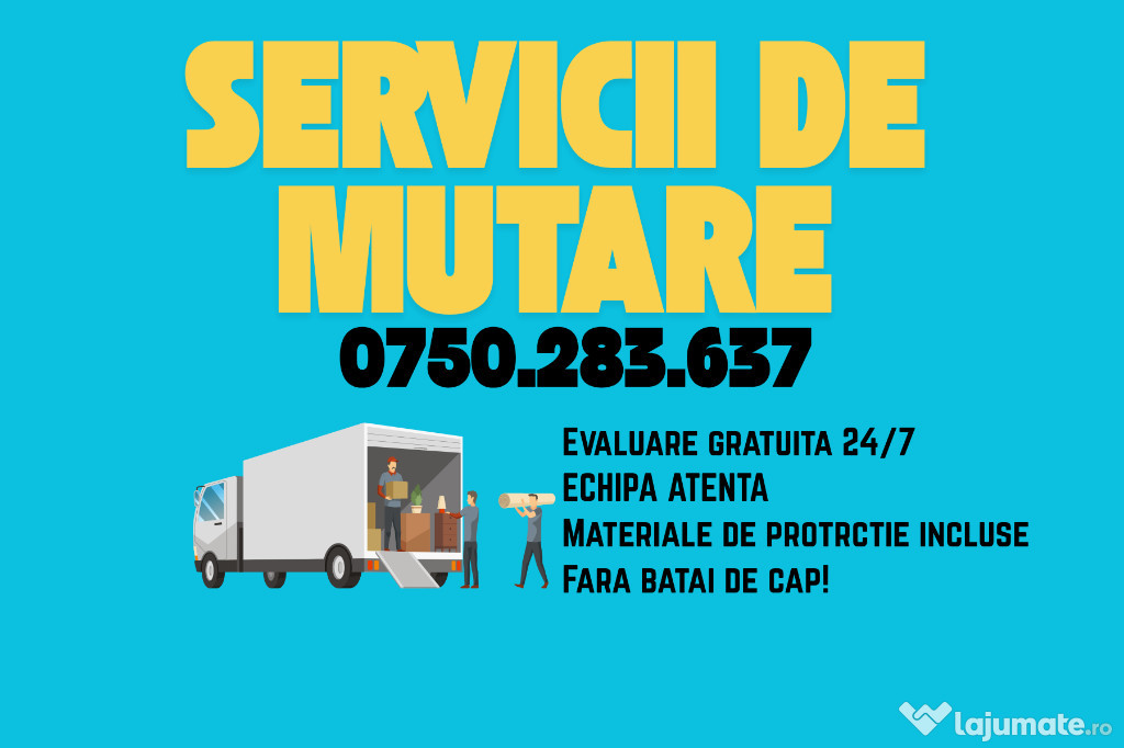 Echipa serioasa pentru mutari sigure – protecție inclusa!